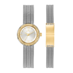 Montre CLYDA acier doré bracelet milanais et bracelet bijou