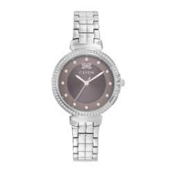 Montre CLYDA tout acier fond marron